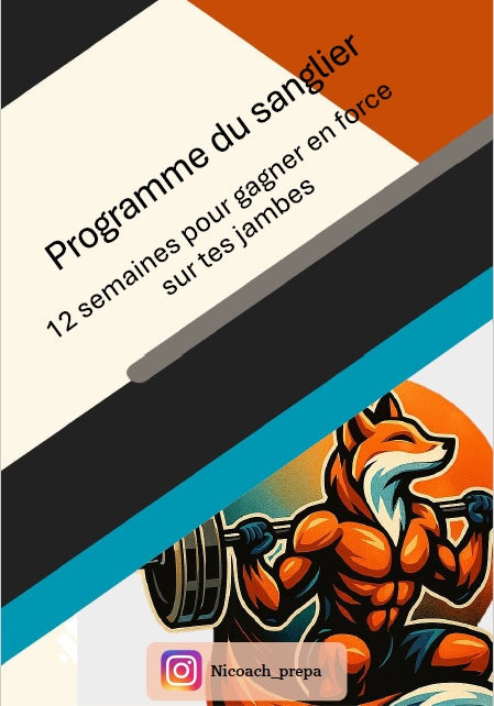 Programme du Sanglier - 12 semaines pour des jambes solides, puissantes et utiles